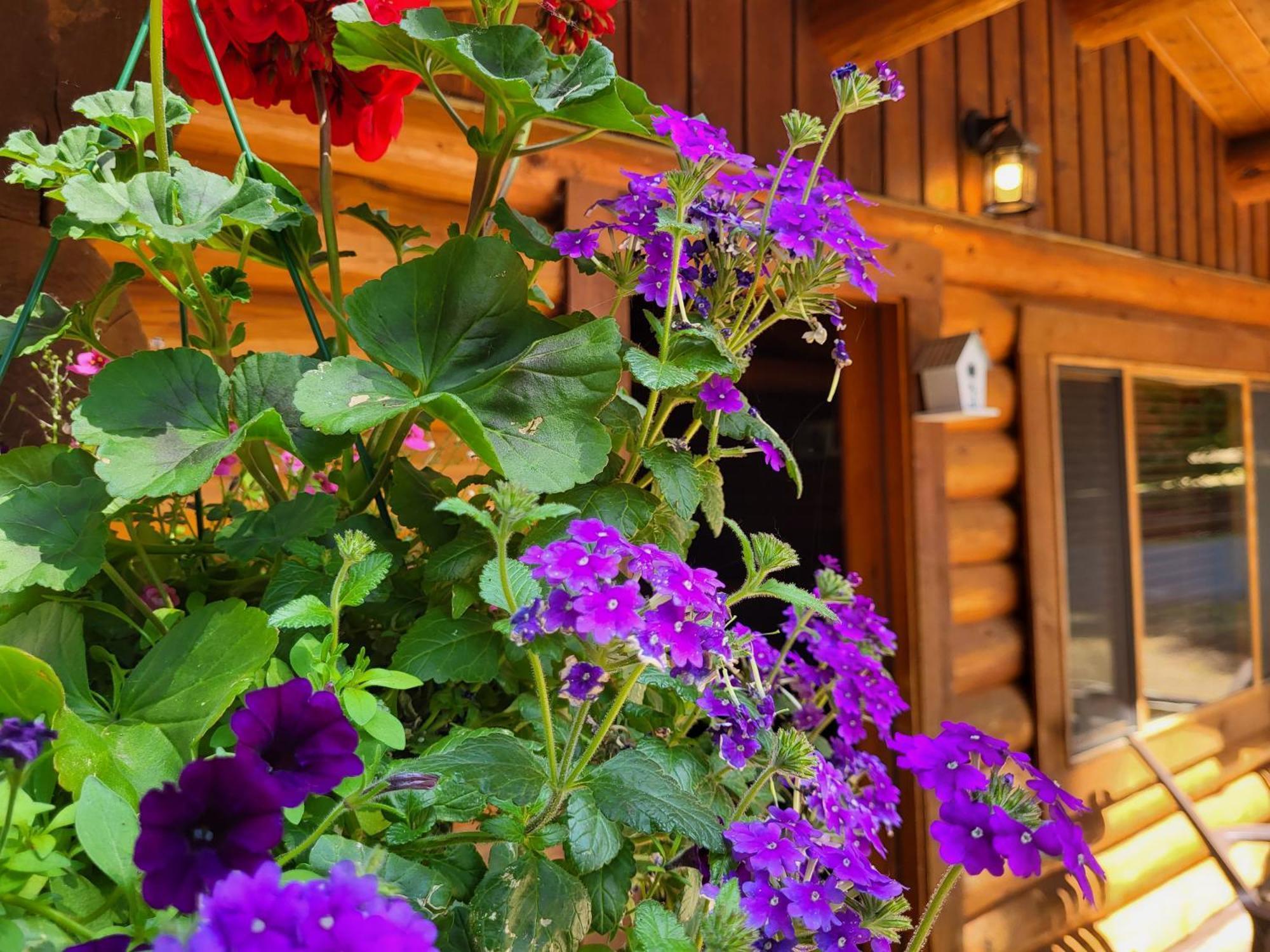 Riverbend Cottage & Rv Resort Parksville Eksteriør billede